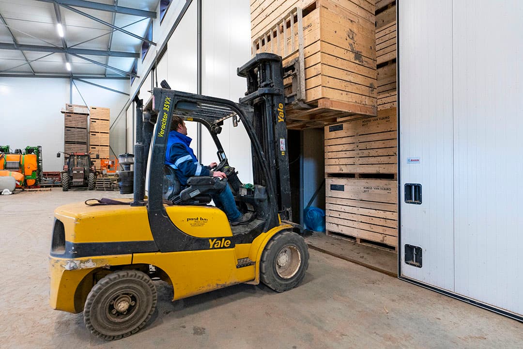Akkerbouwer Gert Jan van Tilburg zet kisten peen terug in de koeling. Hij heeft een monster laten spoelen. Waar hij normaal 650 kilo uit een kist zou spoelen, is dat nu zo'n 600 kilo. "Plekken die aangevreten waren, hebben we achtergelaten op het land. Tja, mooi is anders, maar wat moet je dan?" - Foto: Ruud Ploeg