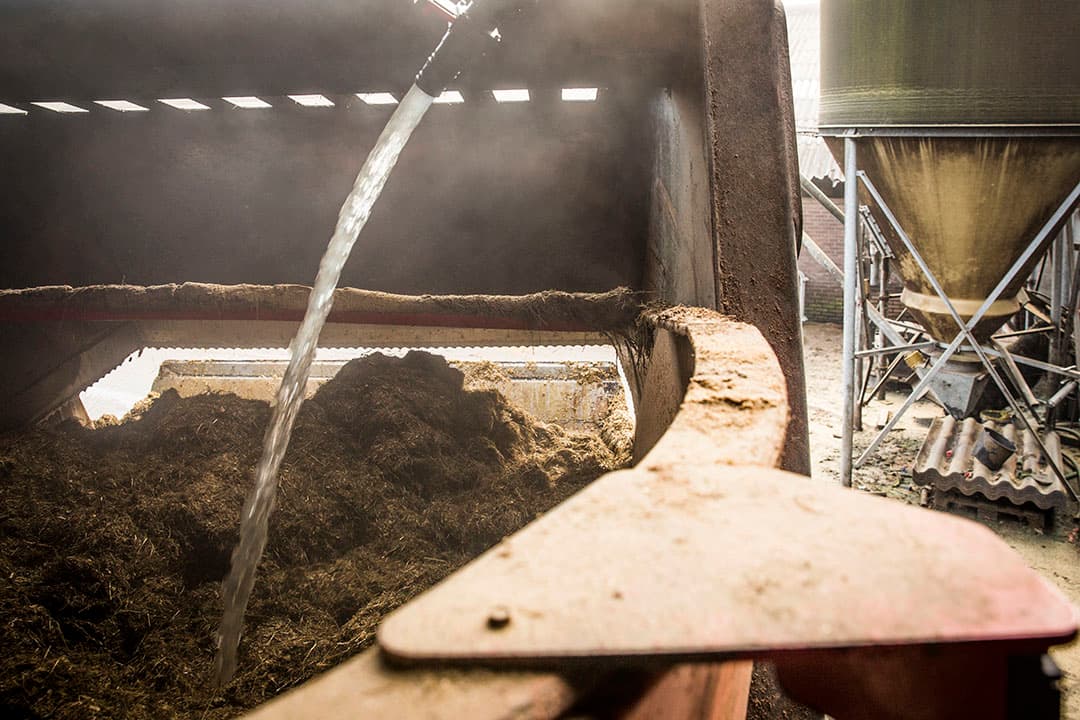 In TMR-rantsoenen wordt soms water toegevoegd om onder meer selectie te voorkomen. Het idee is om dit ook te doen in strorijke rantsoenen voor droge koeien. - Foto: Koos Groenewold