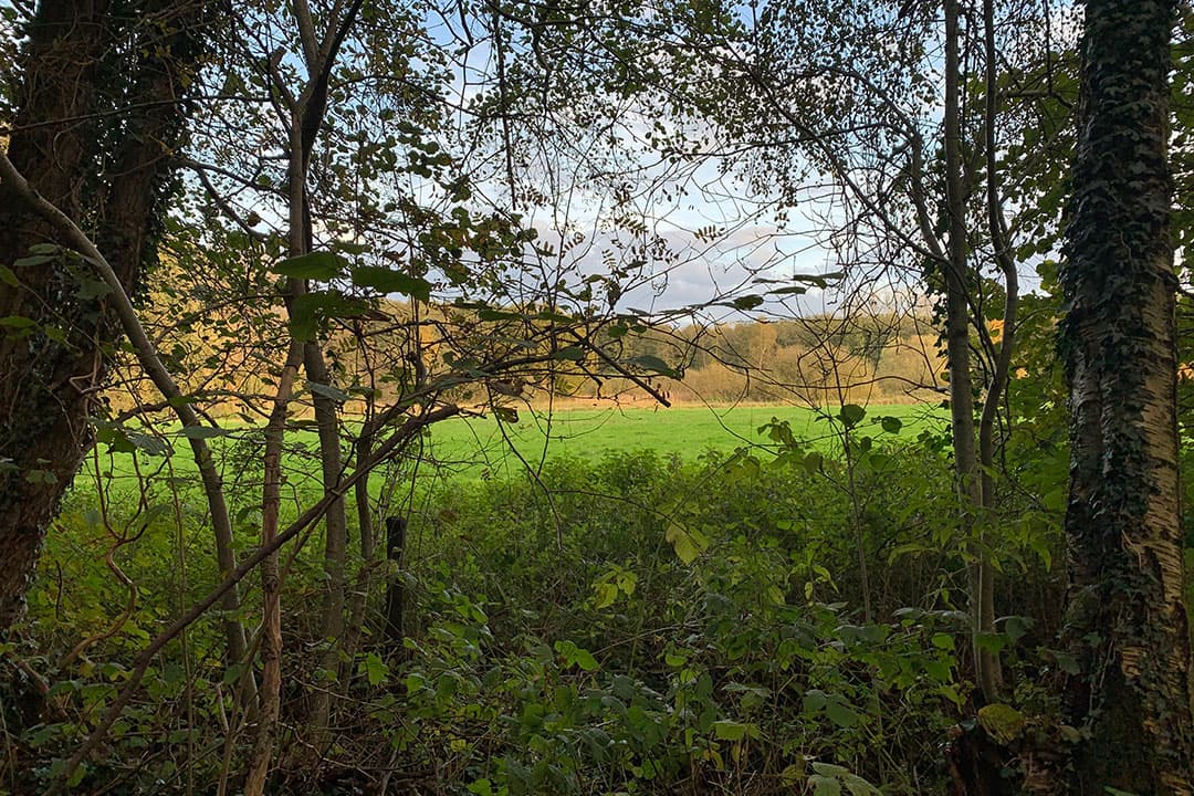 Natuurgebied Lemselermaten in Overijssel. - Foto: Misset