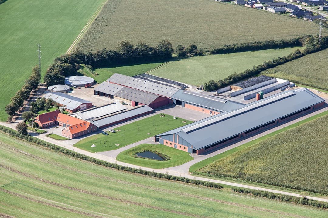 Foto: Bo Tølle