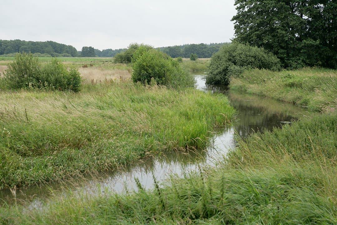 Foto: Jan Willem Schouten