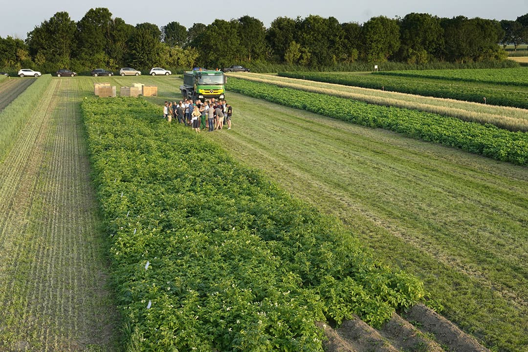 Foto: Ruud Ploeg
