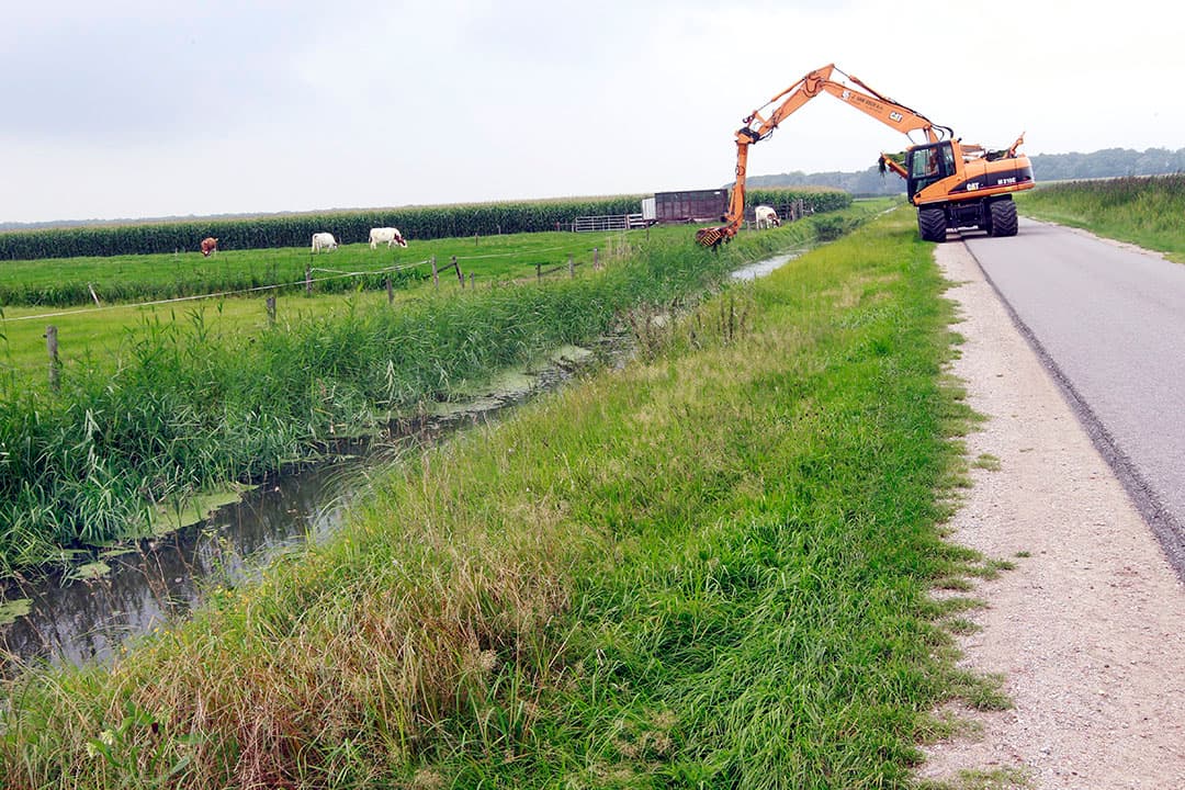 Foto: Bert Jansen