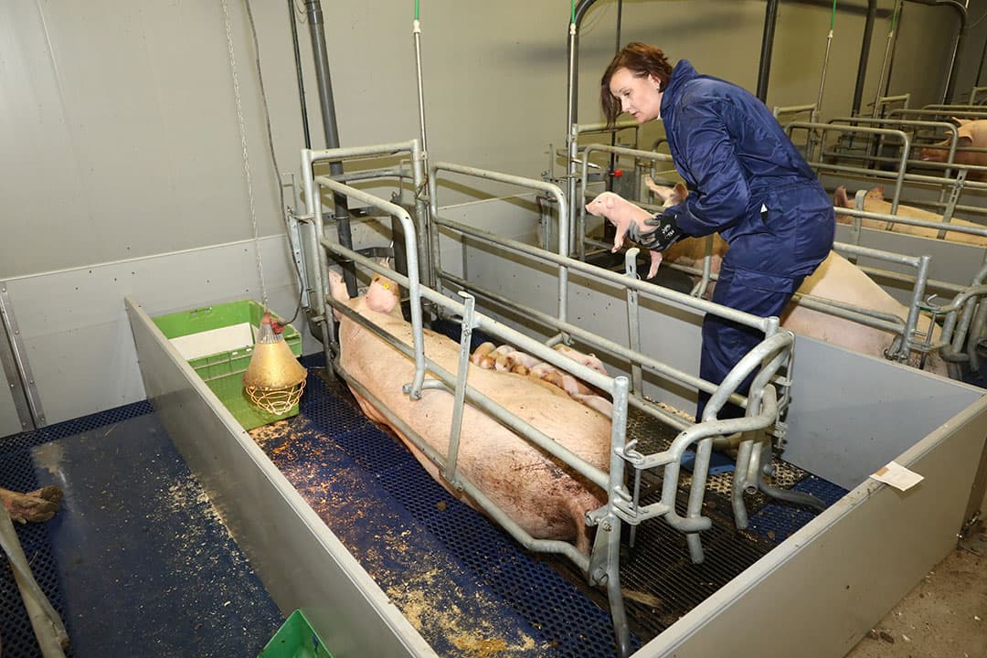 Foto: Henk Riswick