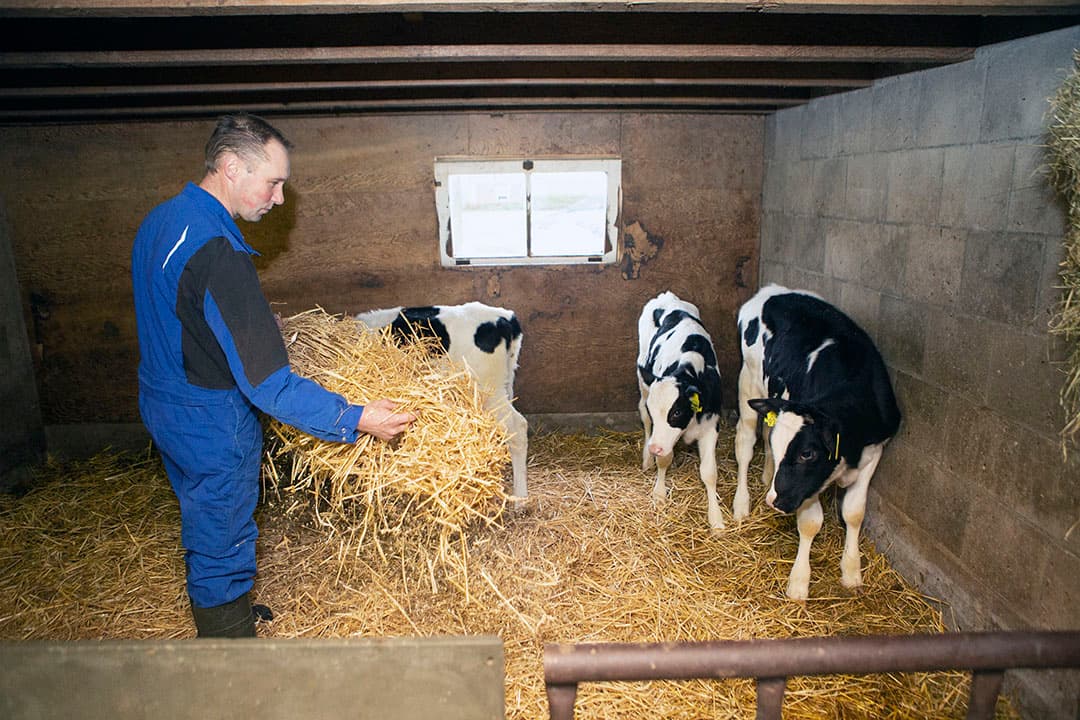Foto: Ton Kastermans Fotografie