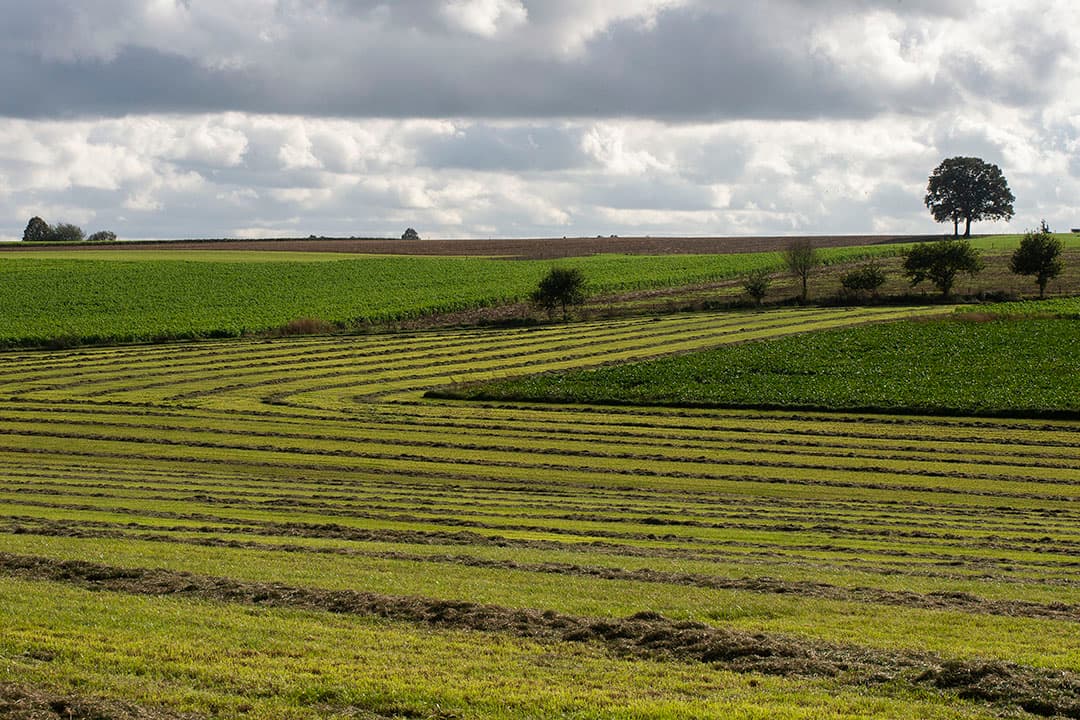 Foto: Twan Wiermans