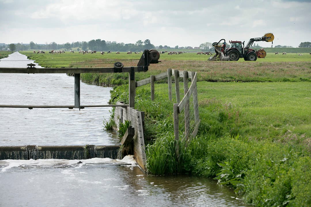 Foto: Jan Willem Schouten