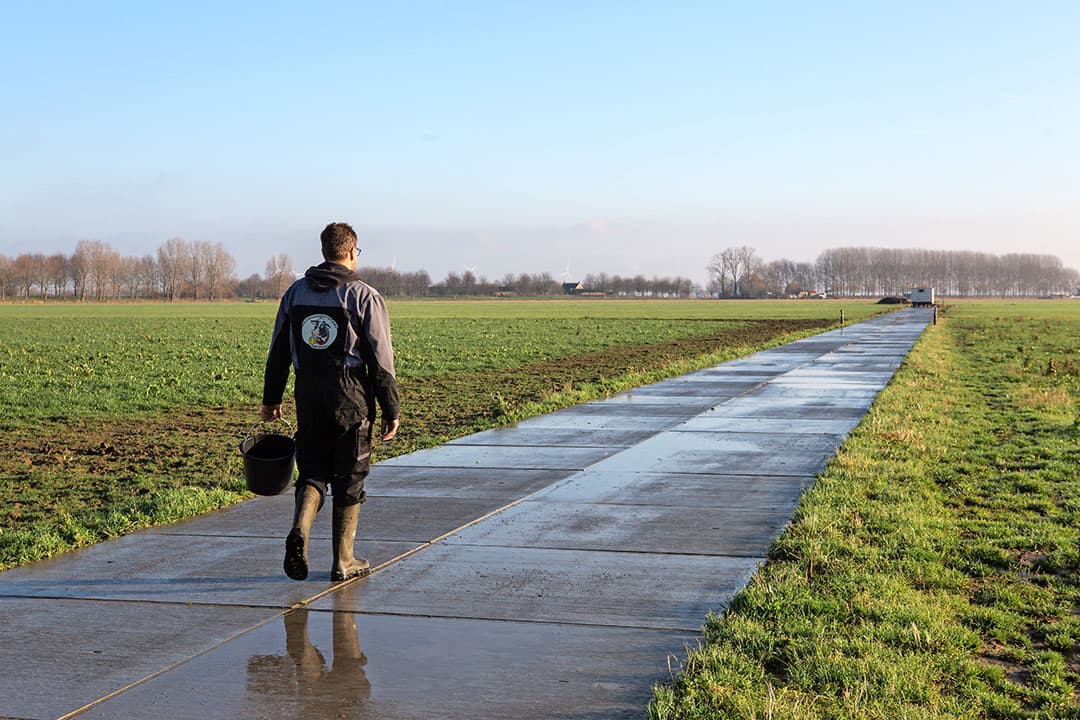 Foto: Peter Roek