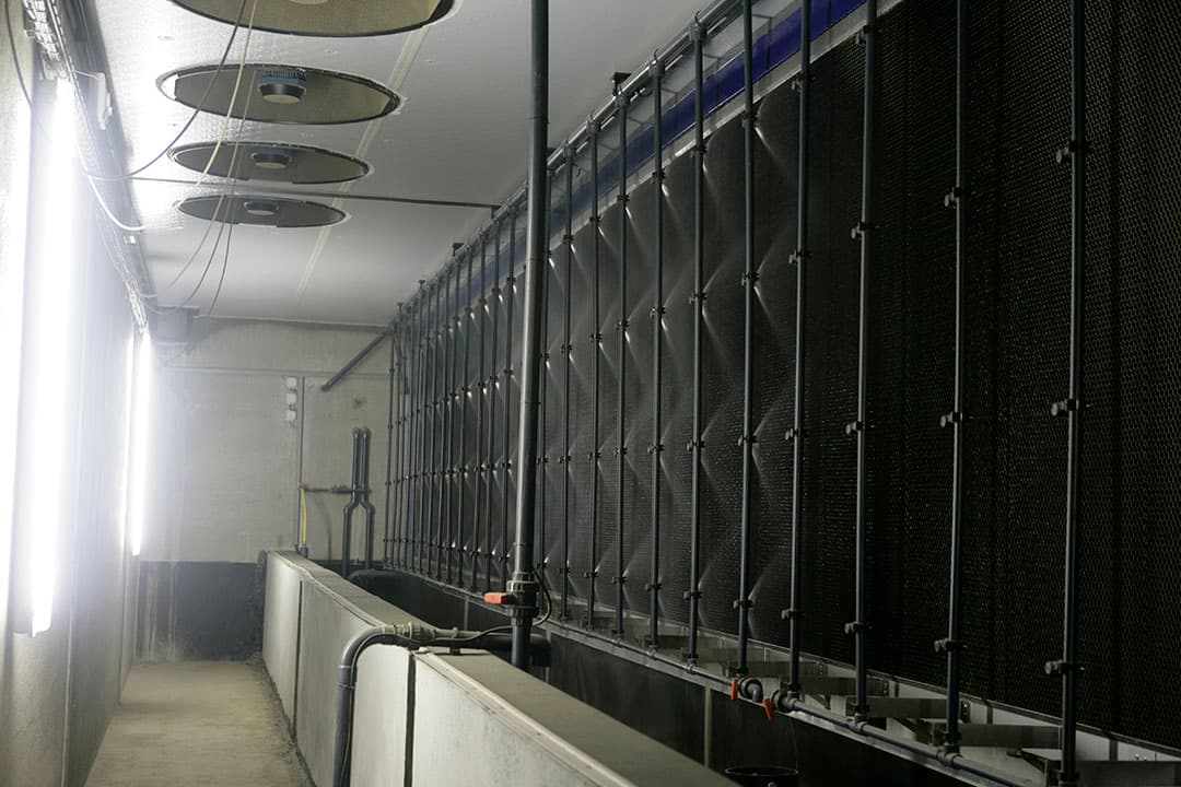 Foto: Jan Willem Schouten
