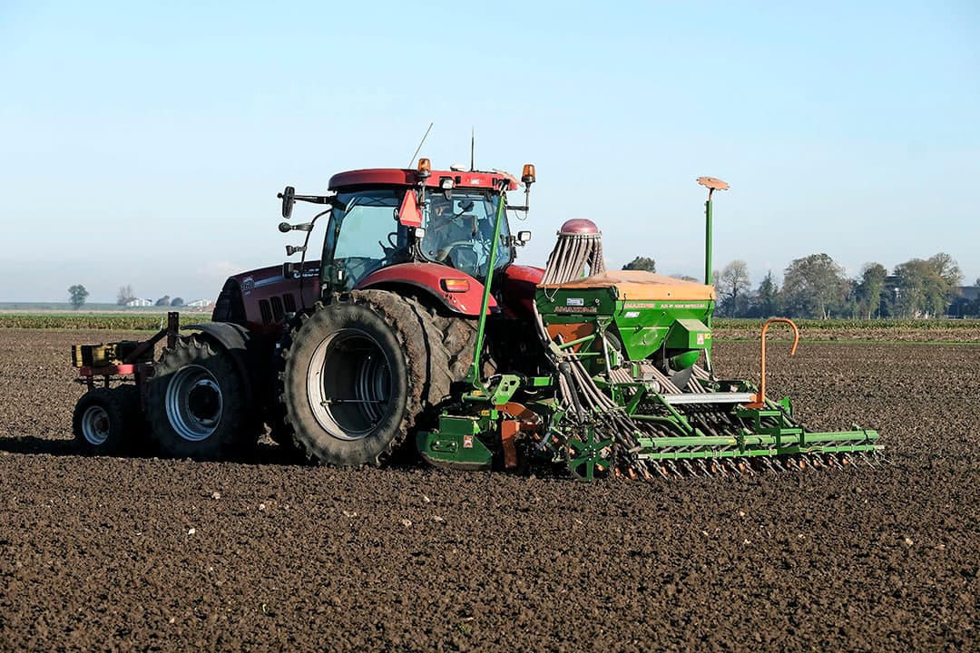 Foto: Jan Willem van Vliet