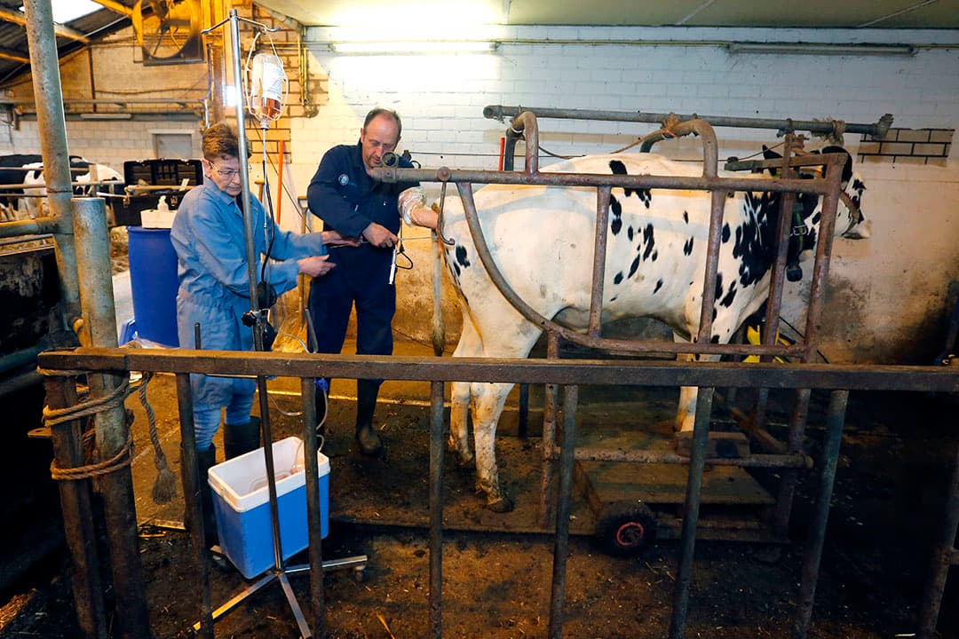 Foto: Bert Jansen