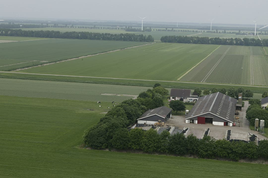 Foto: Mark Pasveer