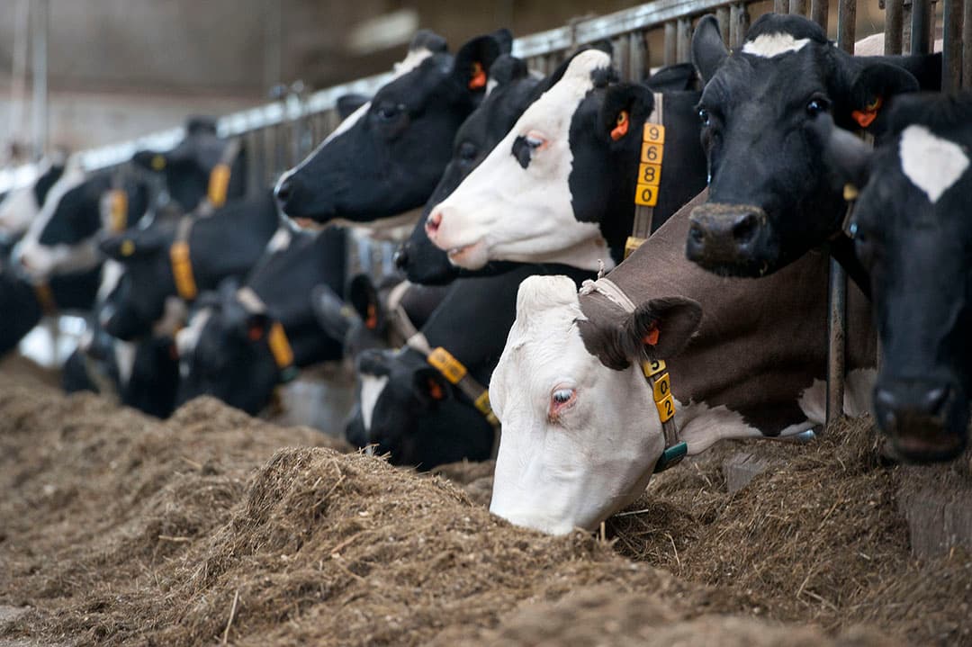 Netwerk Grondig naar Brussel vanwege fosfaatbank