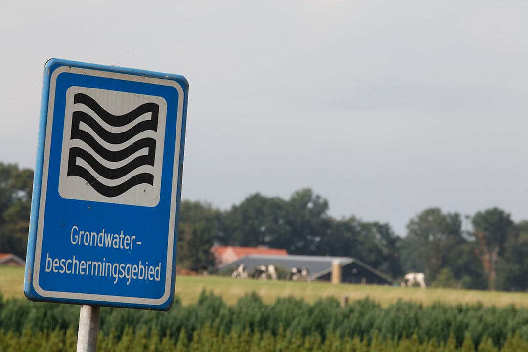 Foto: Hans Prinsen