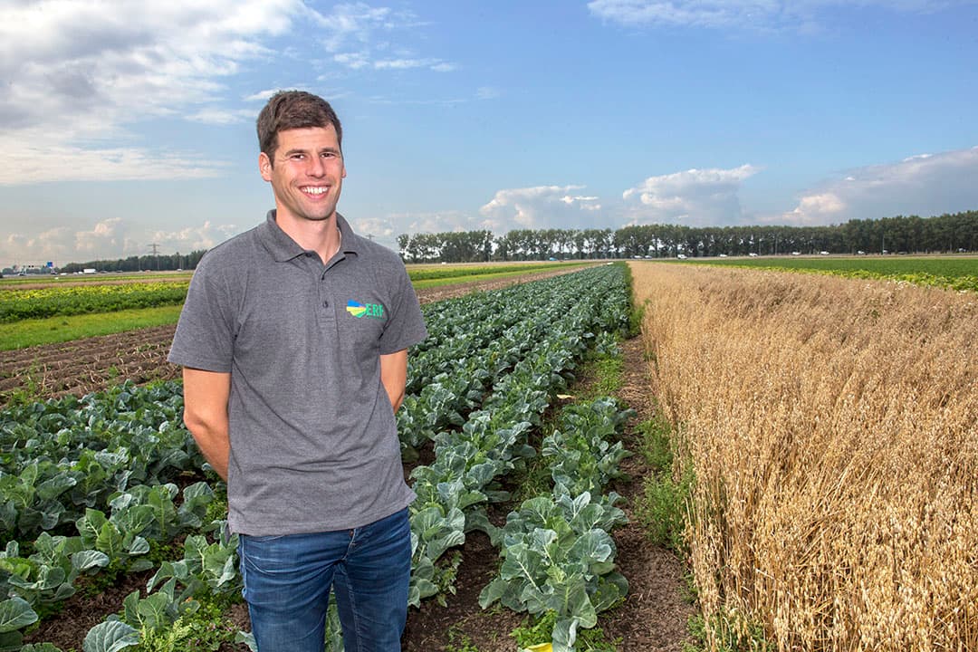 ERF-medewerker Roy Michielsen bij strokenteelt. - Foto: Ton Kastermans Fotografie