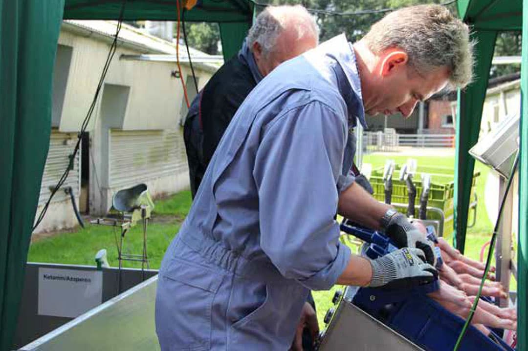 Foto: Kees van Dooren