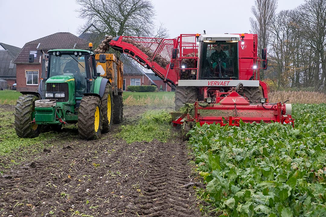 Foto: Jan Willem van Vliet