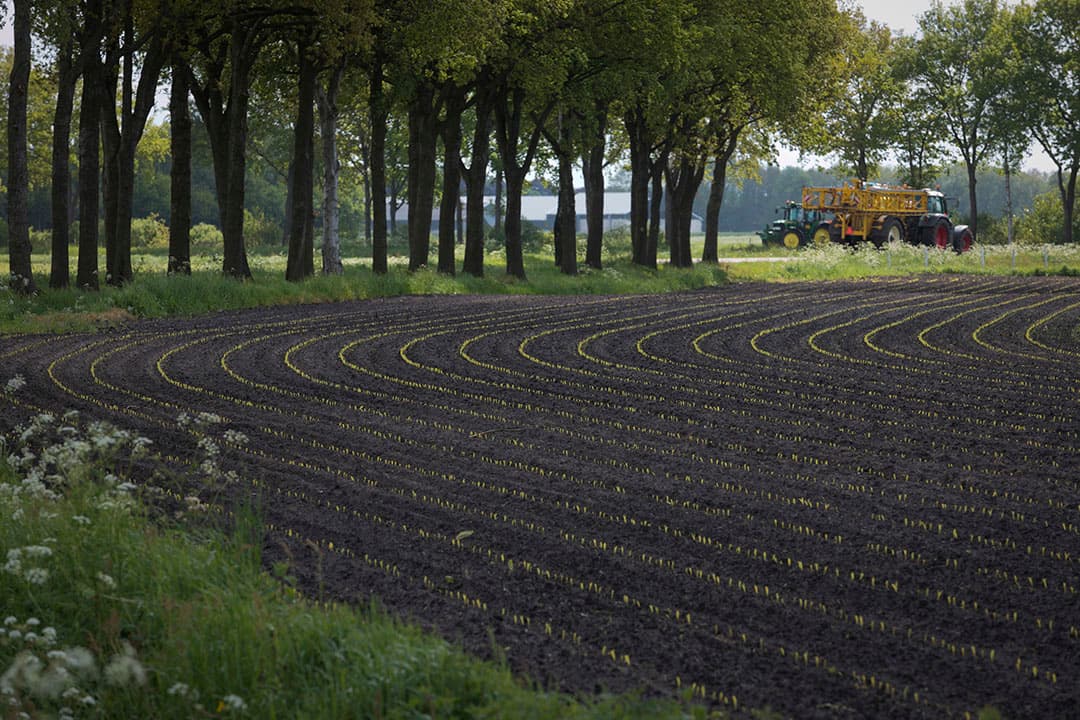 Foto: Jan Willem van Vliet