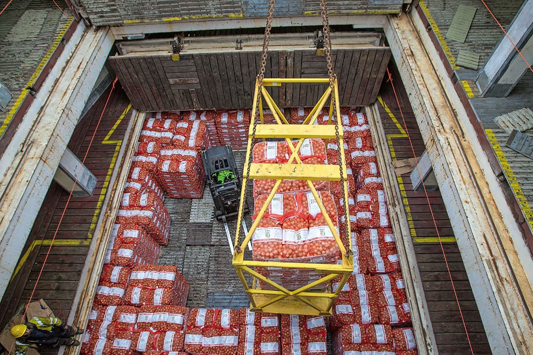 Uien gaan in de Vlissingse haven de boot in. De uienhandel merkt dat afnemers steeds creatiever worden in het opwerpen handelsbarrières. - Foto: Peter Roek