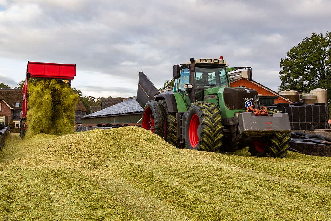 Het rassenonderzoek moet ertoe leiden dat de veehouder uiteindelijk in de kuil krijgt wat bij zijn bedrijfsvoering en voedingsstrategie past. - Foto: Ronald Hissink