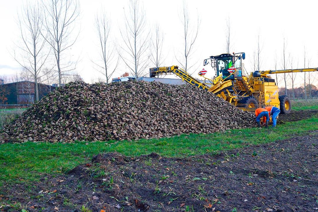Foto: Bert Jansen