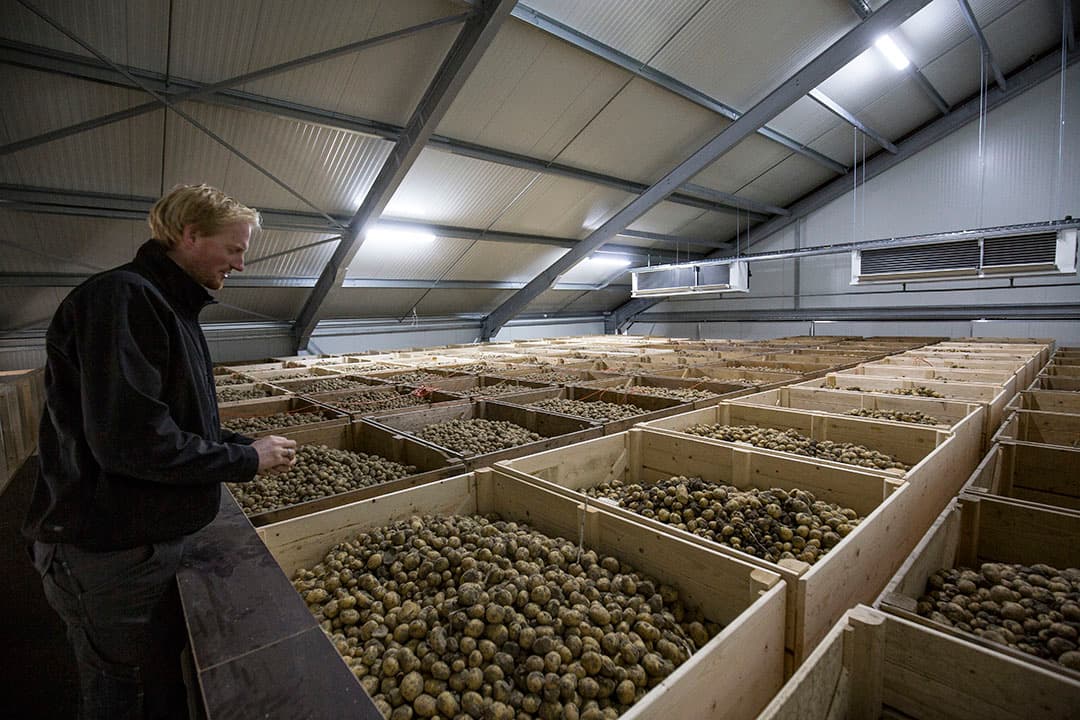 Foto: jan Willem van Vliet