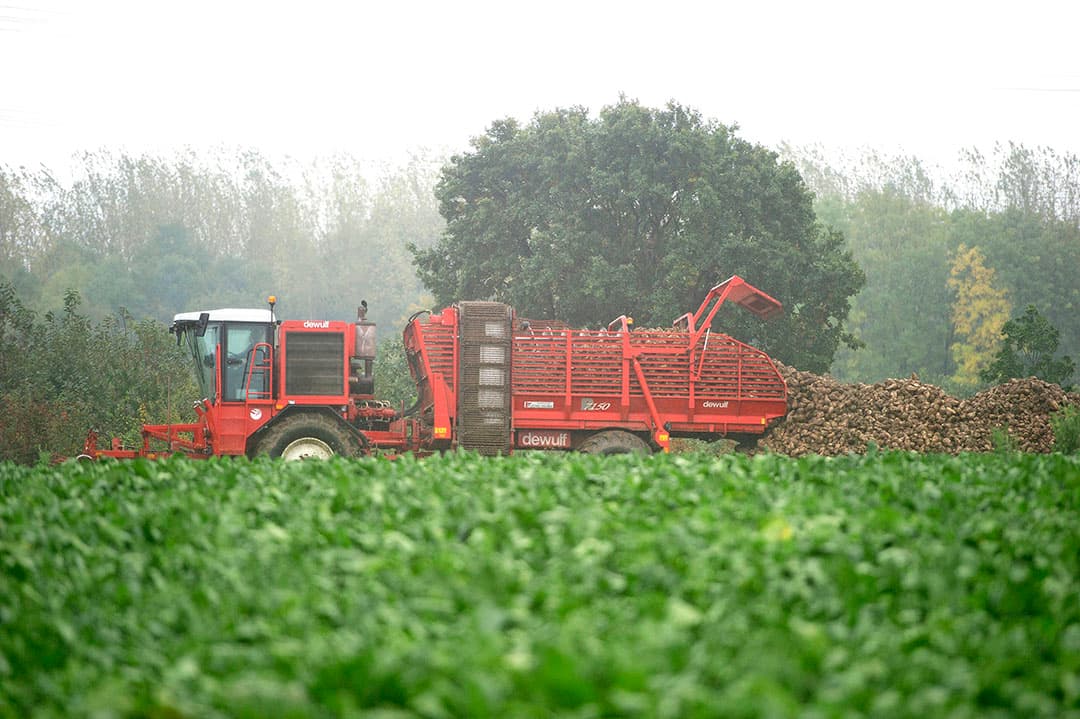 Foto: Marcel van Hoorn