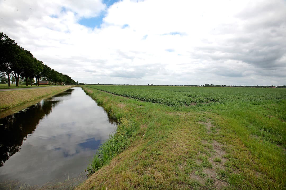 Foto: Hans Prinsen