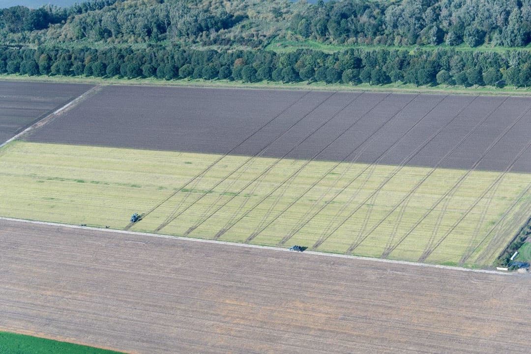 Dit lijkt een typisch plaatje na de maisoogst, maar het is wel erg nat.