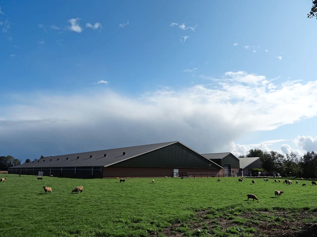 Dit woonhuis is net als de stallen pas 12 jaar oud. Voor meer informatie: Drieklomp Makelaars en Rentmeesters, Voorthuizen (Gld.).