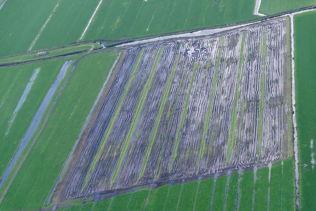 Ook dit, met veel water op percelen, valt nog onder Tollebeek.