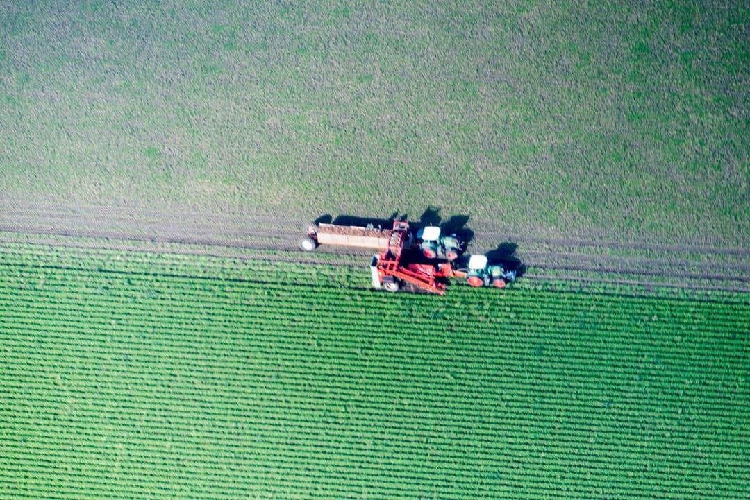 Ook daar in de buurt; een proefveld van een gewas. Je zou zeggen uien, maar de bedden zijn wel erg breed en groen.