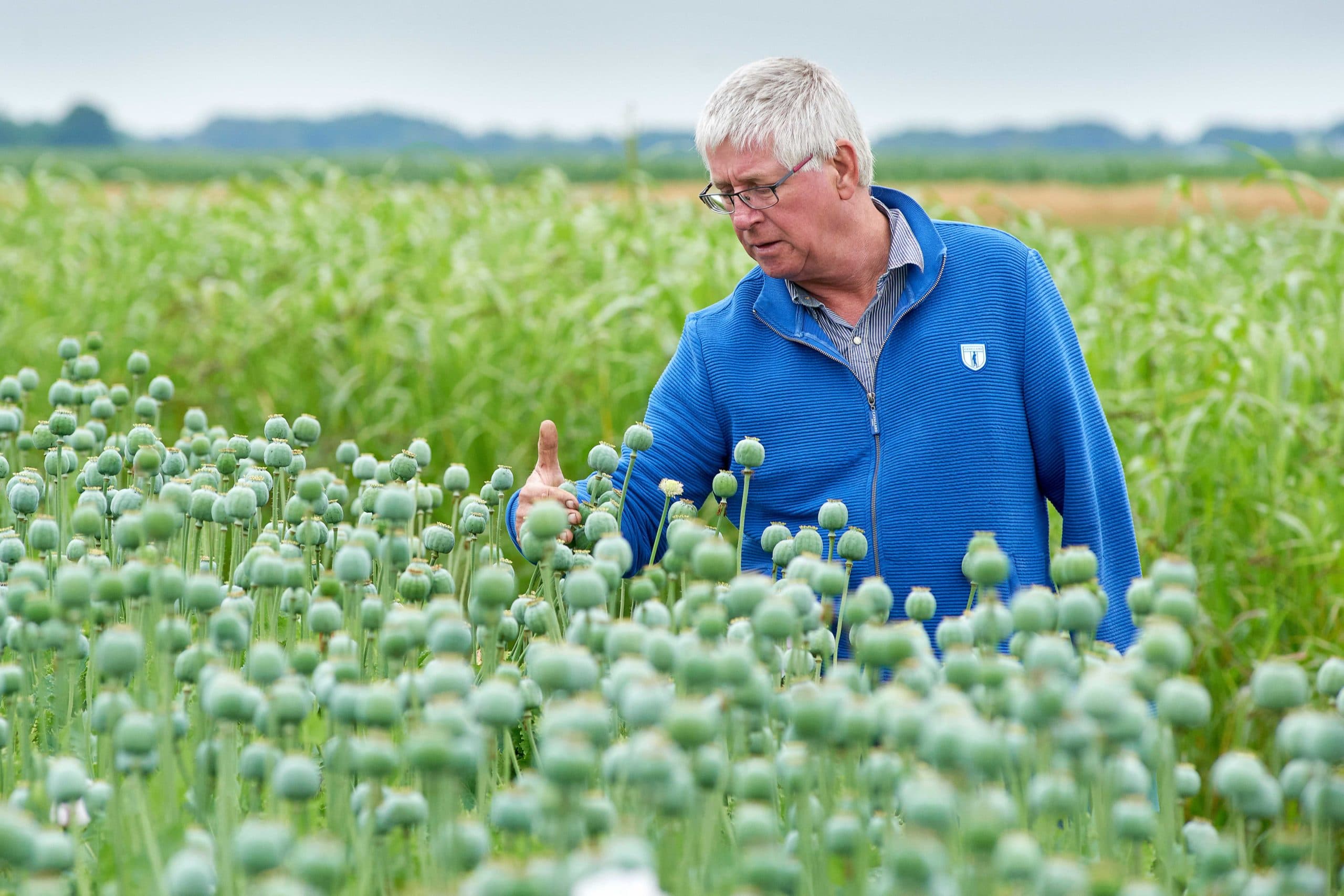 Zijn deze 10 gewassen akkerbouwmatig te telen?