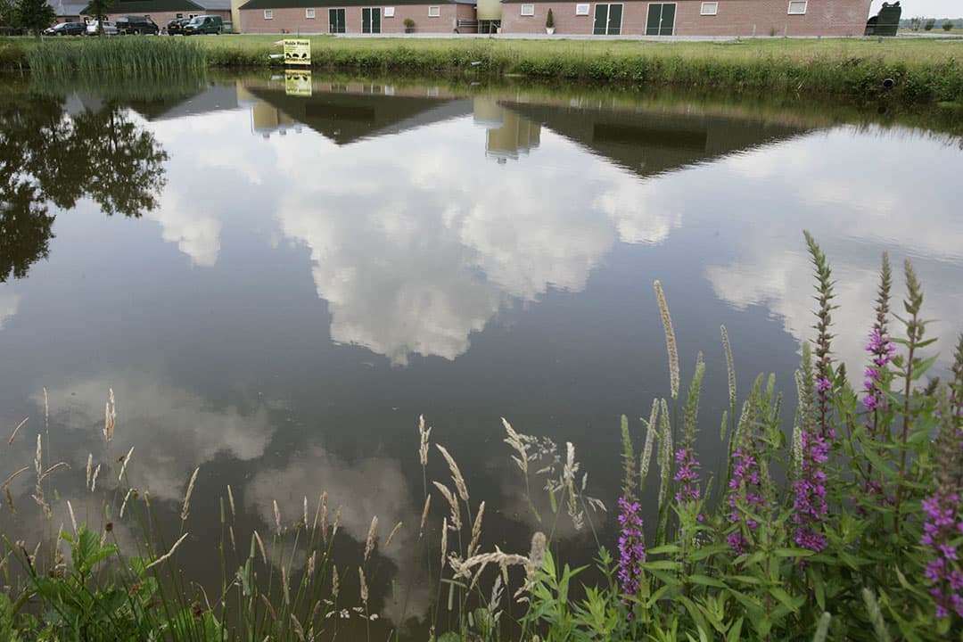 Foto: Michel Zoeter