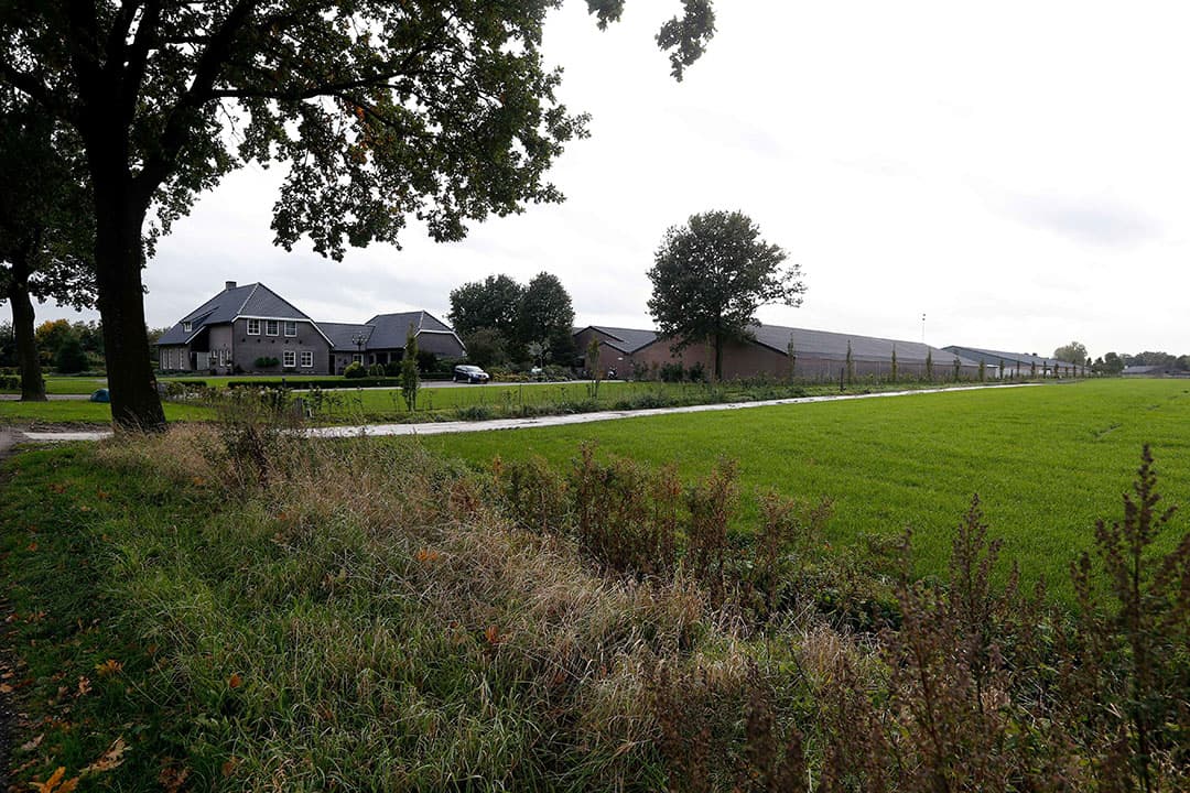 Foto: Bert Jansen