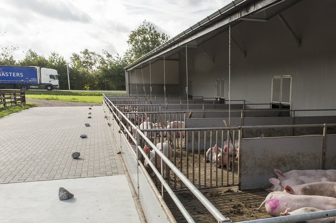 Foto: Koos Groenewold