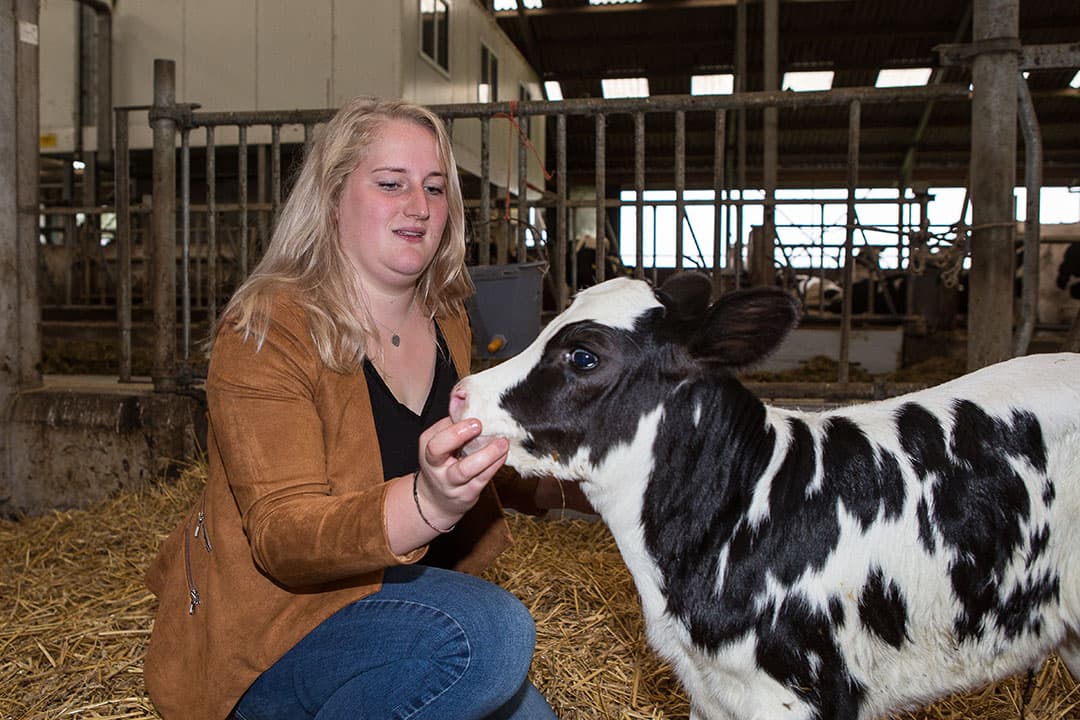 Petra wil verder verbreden en nog meer rondleidingen op de boerderij gaan verzorgen. De burger laten zien hoe het werkt op een boerderij, vindt ze heel belangrijk. - Foto: Peter Roek