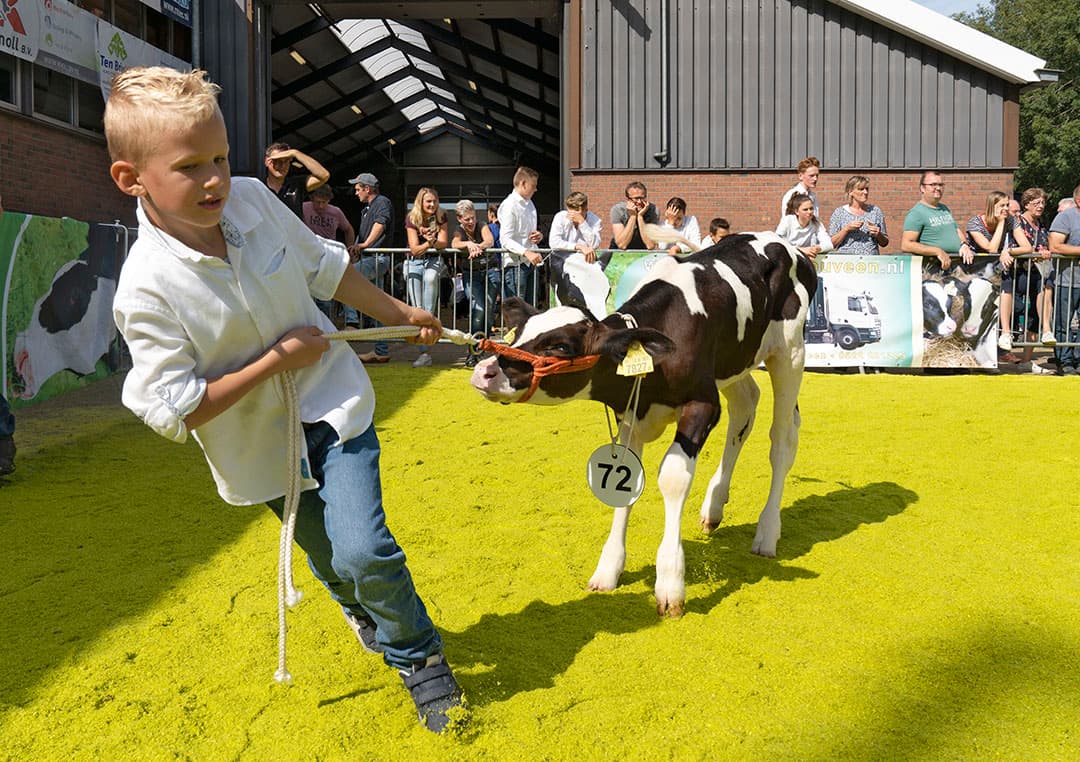 Foto's: Ruud Ploeg