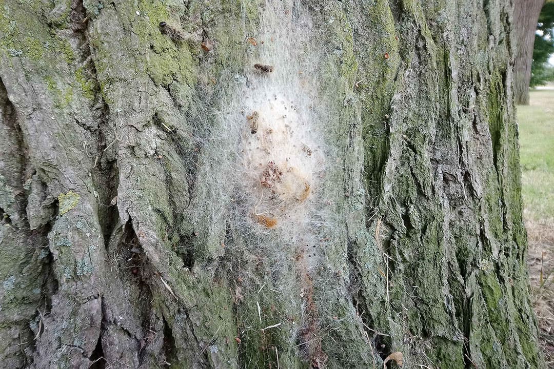 Foto: Margreet Welink