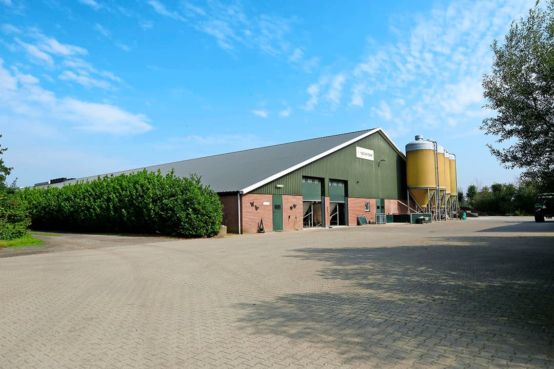 Foto: Henk Riswick