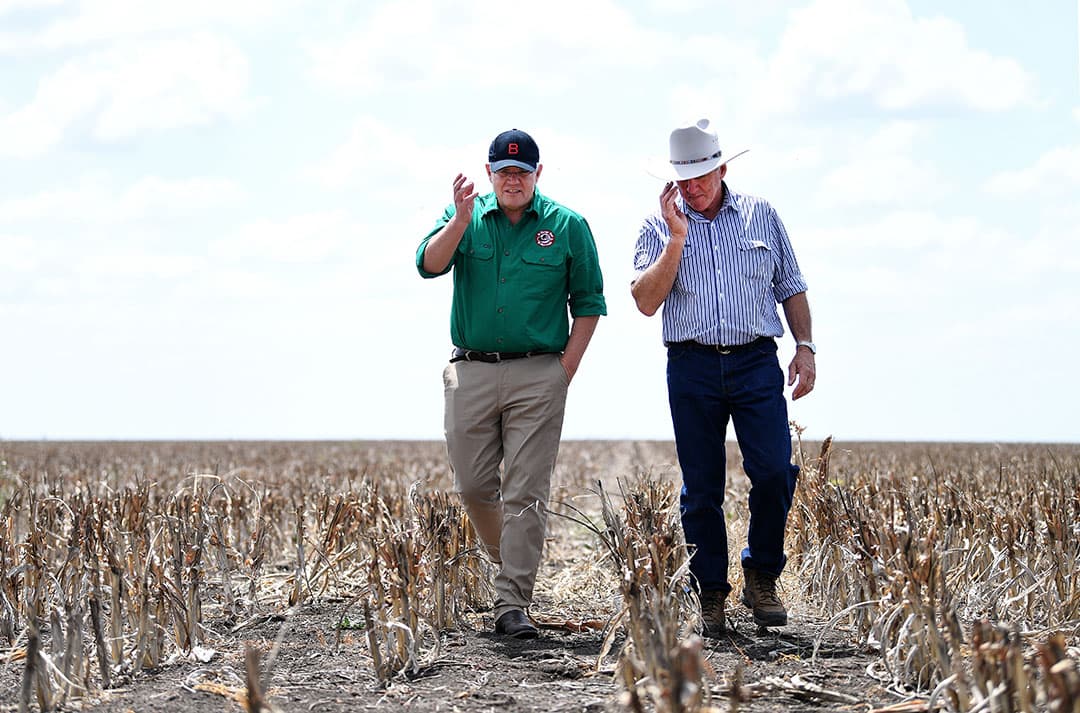 Ronde balen in het water na recente overstromingen van de Spaanse rivier Segura. Duizenden hectares landbouwgrond in het zuidoosten van Spanje, met onder andere aardappelen, veevoer en artisjokken, zijn overstroomd na noodweer met extreem veel regen. Boeren verwijten de overheid nalatigheid. De waterkering langs de rivier zou niet goed zijn onderhouden en de waterafvoer werd soms belemmerd. - Foto: EPA