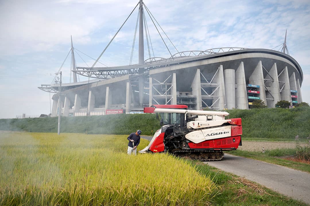 Het oogsten en ophalen van de zetmeelaardappelen bij akkerbouwer Huizinga-Wieringa in Hellum (Gr.) gaat lekker vlot. De aardappelen zijn van het ras Seresta, de opbrengst van 14 hectare ligt in no-time bij de verwerker.   Foto: Koos van der Spek.