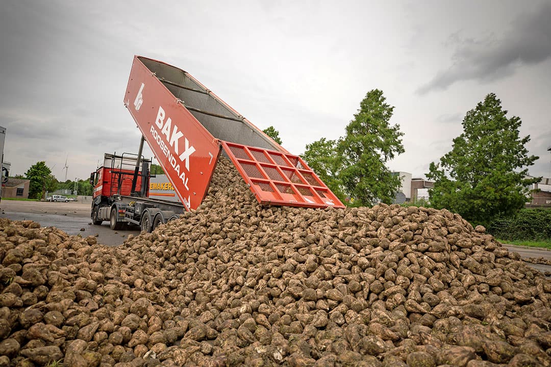 Foto: Roel Dijkstra