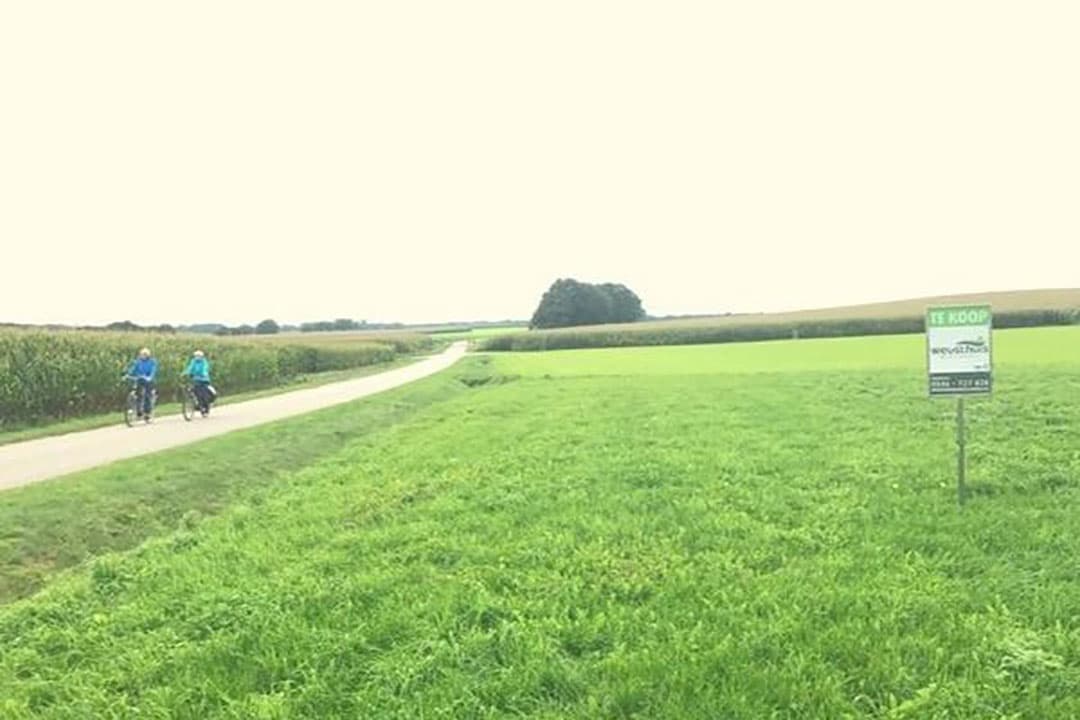 Foto: Martijn ter Horst