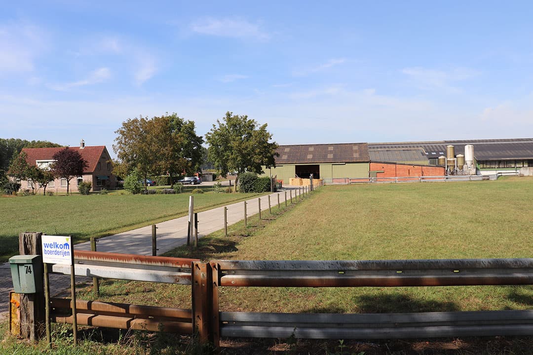 Op het erf liggen verder 5 sleufsilo s voor ruwvoeders en 3 kleinere voor bijproducten, een mestsilo, 4 voersilo s en 1 kunstmestsilo. Door de compacte bouw en korte afstanden is het binnen en buiten efficiënt werken.