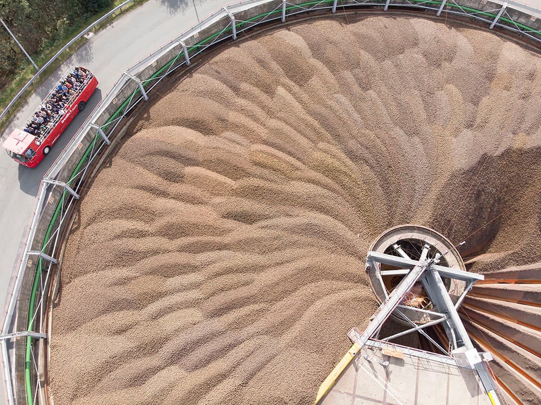 Net als veel andere Duitse boeren plaatsen Anna Müller en haar vader Reiner uit Titz (Noordrijn-Westfalen) een groen kruis. Dit symboliseert de gevolgen van politieke besluiten. Op 4 september is in Duitsland een nieuw landbouwpakket aangenomen, en boeren vrezen dat het nu moeilijker en duurder wordt om akkers en grasland te beheren. De kostprijs gaat omhoog en het inkomen omlaag.   Foto: Henk Riswick