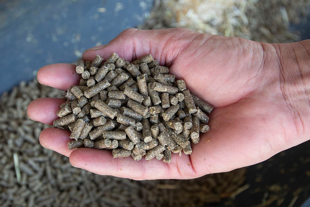 Groep 2 kreeg vanaf 2 weken leeftijd tot 14 weken oud een variant van de Follow Upbrok.