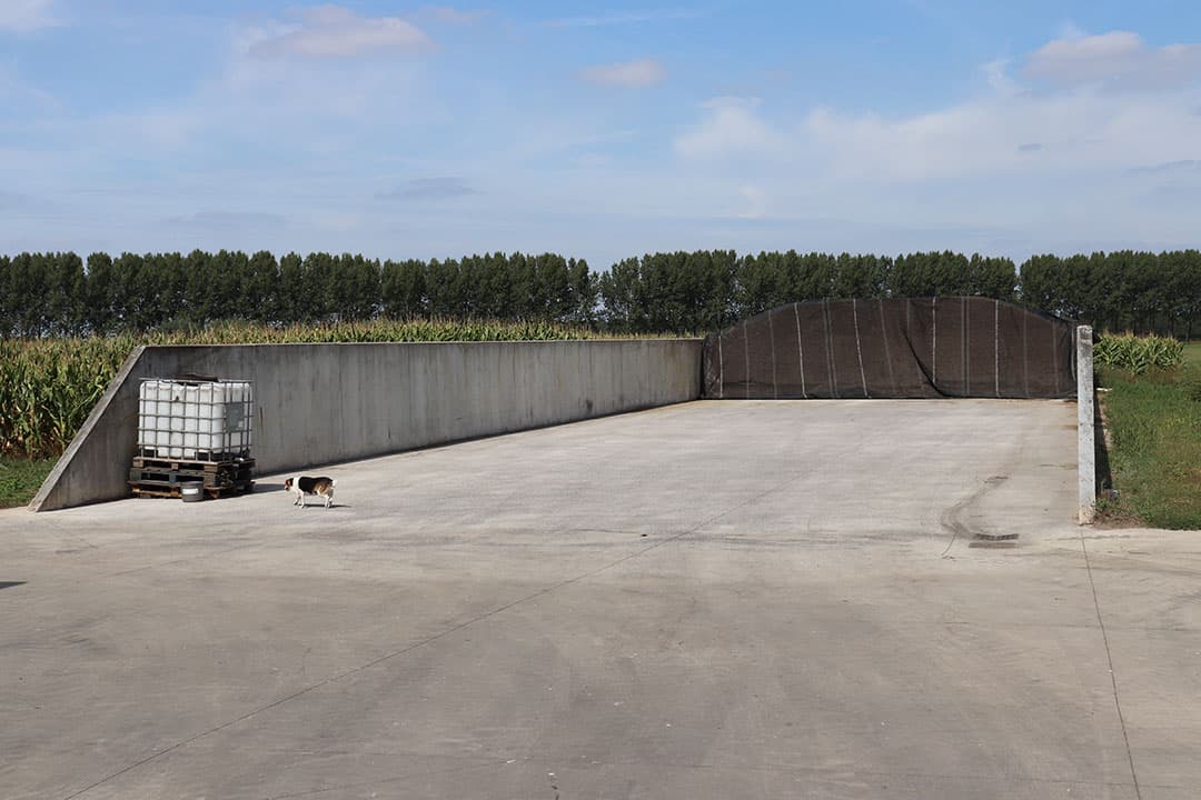 Ook rijdt er in de ligboxenstal een mestrobot rond om de roosters schoon te houden.