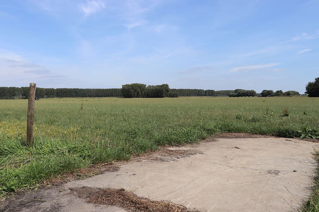 De 2 x 6 visgraat-melkstal functioneert prima maar bij grote aantallen is de capaciteit beperkt. Een koper zal dan moeten investeren in uitbreiding of een ander systeem.