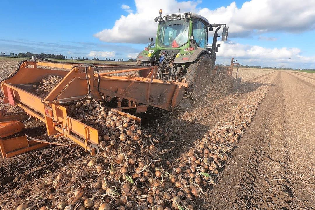 De opraapbek van de oplader heeft een ronde invoerborstel die volgens Smits beter omkleed kan worden. Er gaan wat uien die tussen de borstel zitten die aan het eind van de werkgangen op het land terechtkomen.